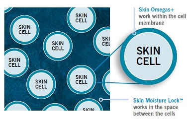 anp moisture lock skin omegas