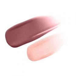Jane Iredale Lip Fixation Lip Stain/Gloss Compulsion (sheer matte mauve, cool shimmering gloss)