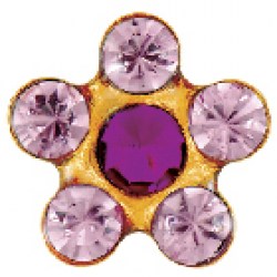 STUDEX Gold Plated Daisy Light Rose Fuchsia EARRINGS